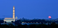 D3A_3838-2
