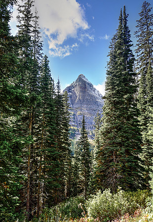 _DSC7776_7_8_tonemapped-2