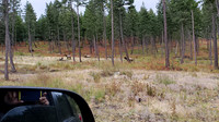 20200925_161120