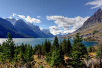 Montana '20