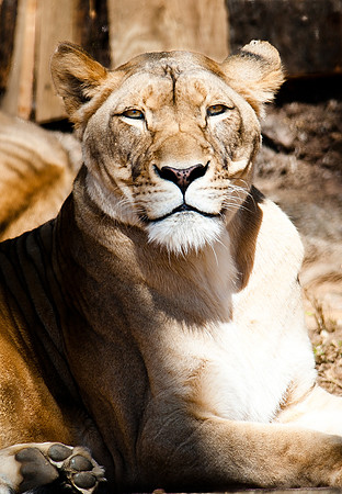 D3A_0703-2
