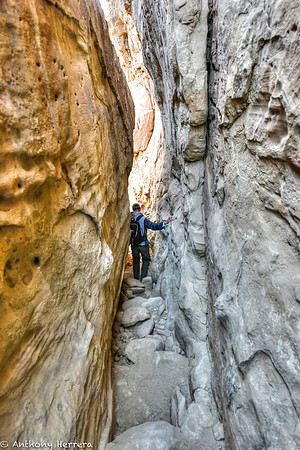 DSC_1884-2_Mesa Verde