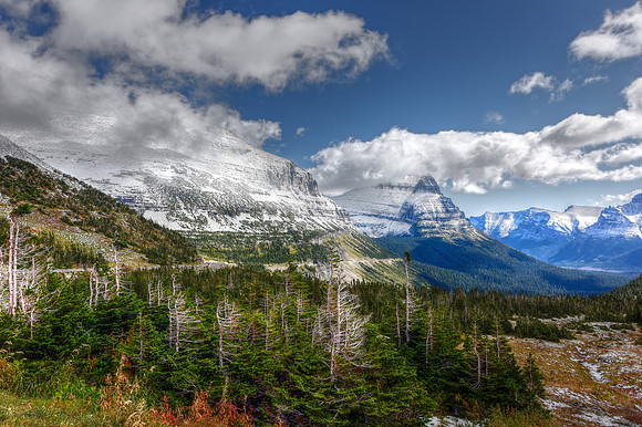_DSC7731_2_3_tonemapped-2