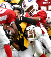 Sports 2009