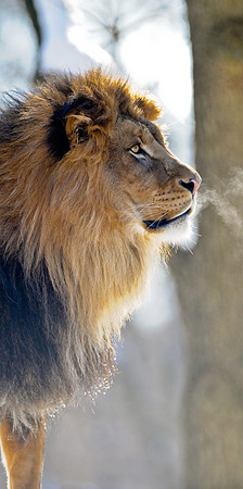 ADH_8860.jpg
