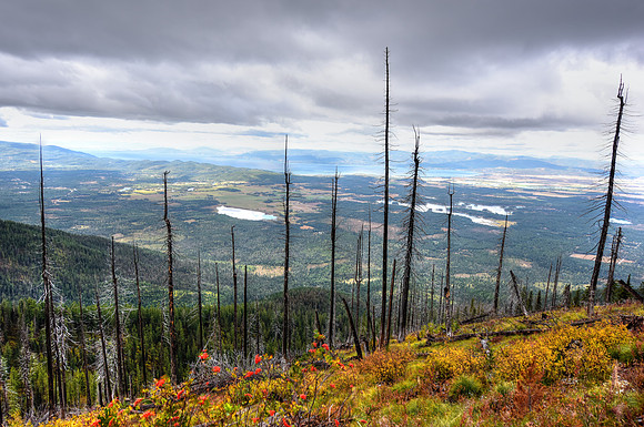 _DSC7487_8_9_tonemapped-2